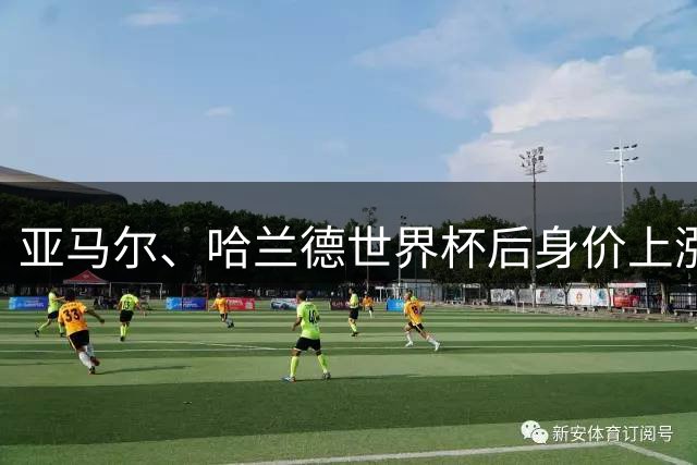 亚马尔、哈兰德世界杯后身价上涨，德转中国区数据管理员：重大赛事高光表现能带来大涨，另一个核心指标是年龄；C罗曾吐槽过自己的身价